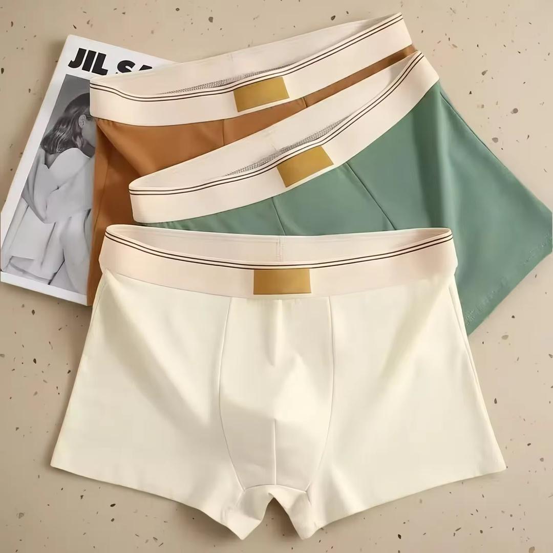 Boxer