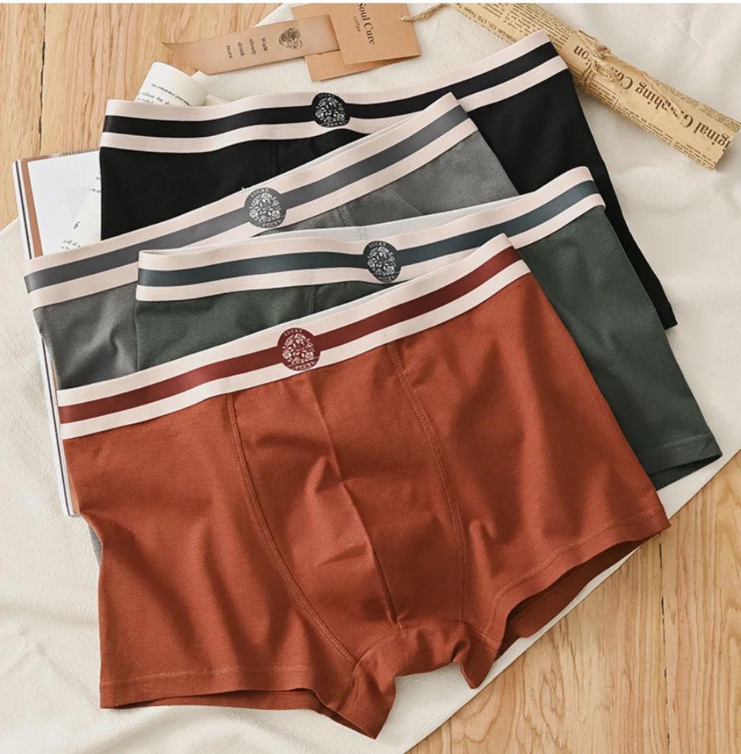 Boxer 